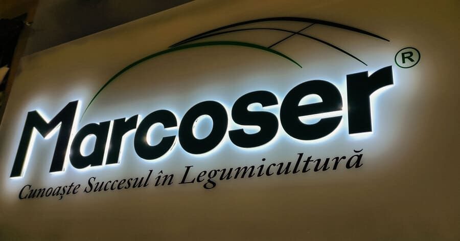 Litere 3D pentru birouri / mediu corporate